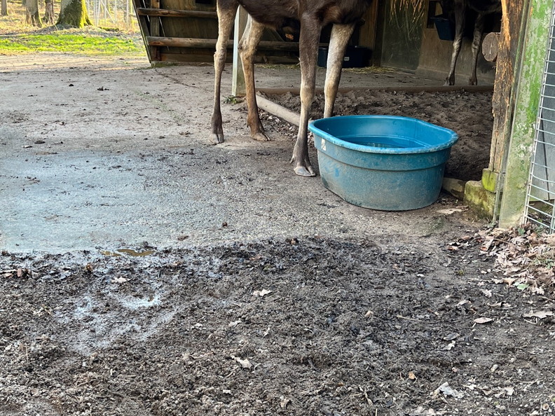 23-02-13 14-24-02 4219